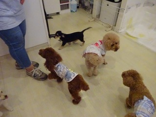 DSC03384.jpg