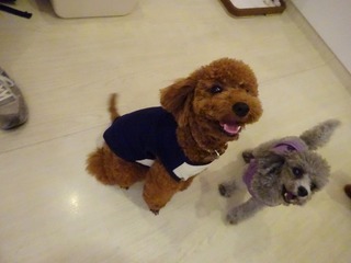 DSC03402.jpg