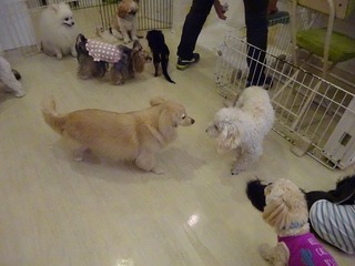 DSC03411.jpg