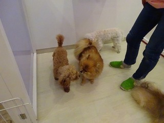 DSC03416.jpg