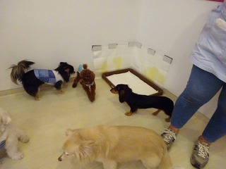 DSC03430.jpg