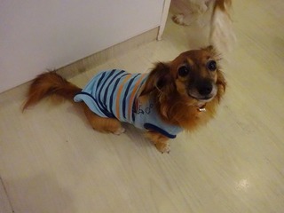 DSC03439.jpg