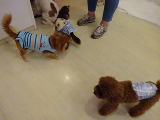 DSC03440.jpg