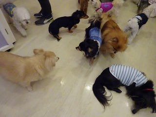 DSC03450.jpg