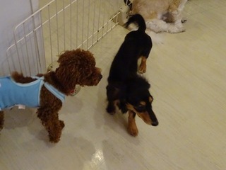 DSC03480.jpg