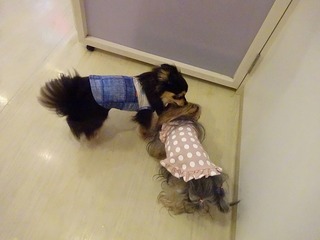 DSC03484.jpg