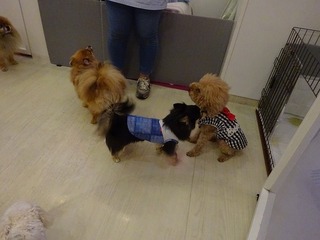 DSC03496.jpg