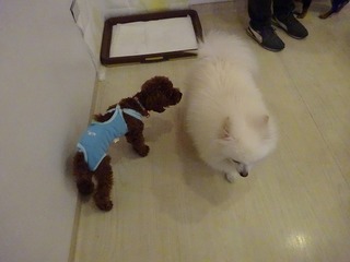 DSC03504.jpg