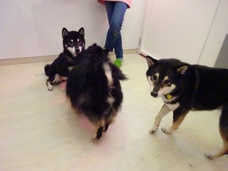 DSC03555.jpg