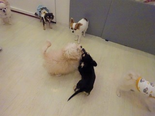 DSC03604.jpg