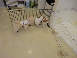DSC03608.jpg