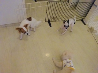 DSC03610.jpg