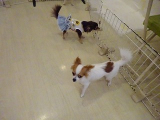DSC03626.jpg