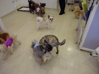 DSC03637.jpg