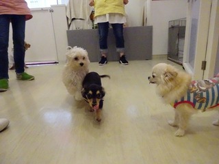 DSC03640.jpg