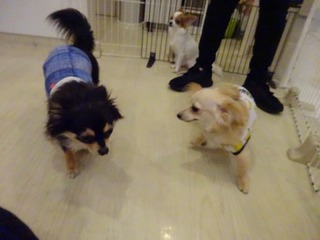 DSC03645.jpg