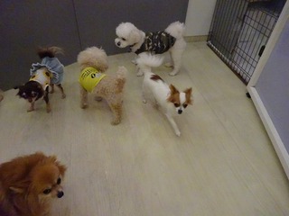 DSC03654.jpg