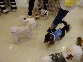 DSC03679.jpg