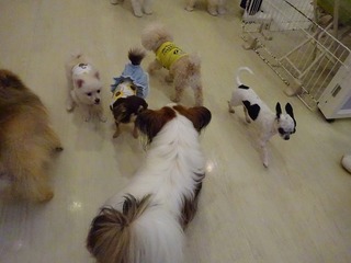 DSC03703.jpg