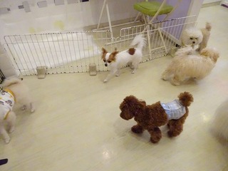 DSC03725.jpg