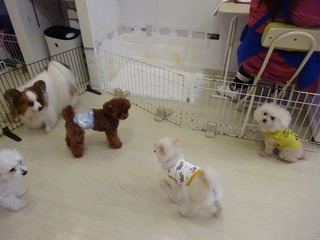 DSC03763.jpg