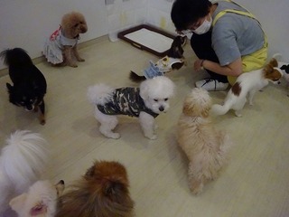 DSC03781.jpg