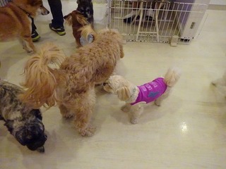 DSC03791.jpg