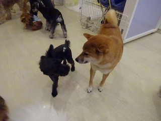 DSC03800.jpg