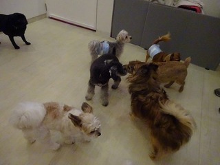 DSC03810.jpg