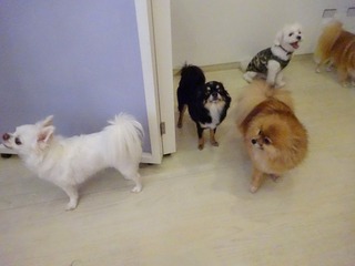 DSC03829.jpg
