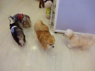 DSC03851.jpg