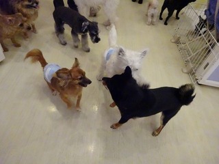 DSC03867.jpg