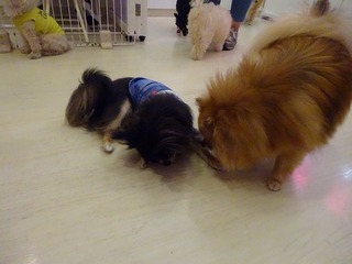 DSC03879.jpg