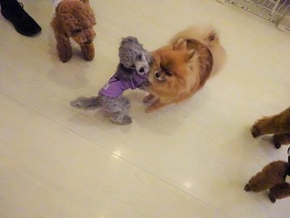 DSC03906.jpg