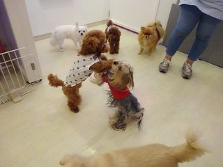 DSC03921.jpg