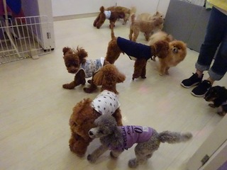 DSC03953.jpg