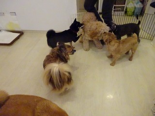DSC03954.jpg