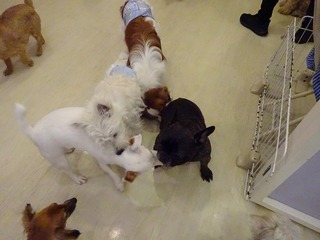 DSC03977.jpg