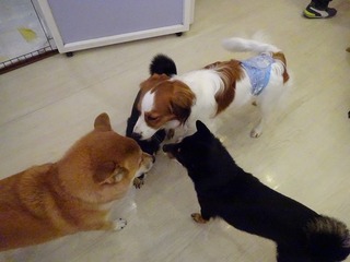 DSC04007.jpg