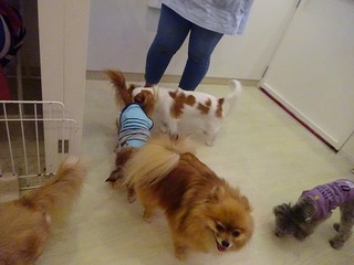 DSC04019.jpg