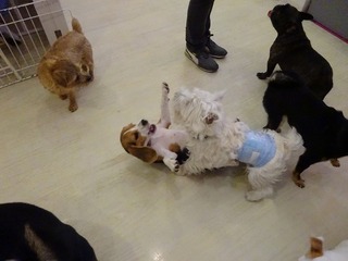 DSC04020.jpg