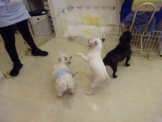 DSC04052.jpg