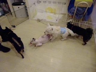 DSC04065.jpg