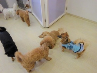 DSC04086.jpg