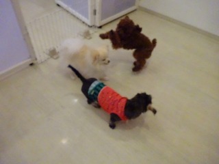 DSC04100.jpg