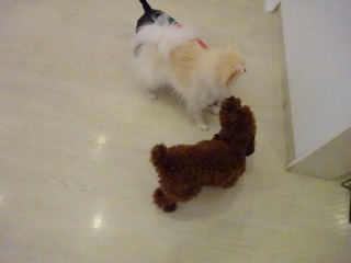 DSC04101.jpg