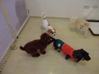 DSC04110.jpg