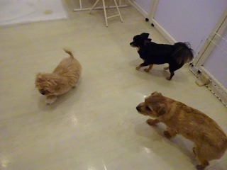 DSC04128.jpg