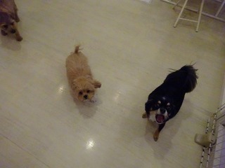 DSC04130.jpg