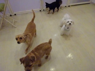 DSC04147.jpg